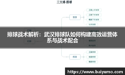 排球战术解析：武汉排球队如何构建高效运营体系与战术配合